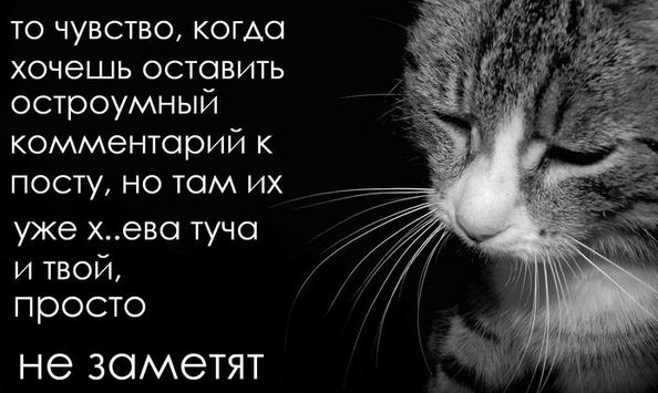 Типичная ситуация в комментах на заре ЯПъа