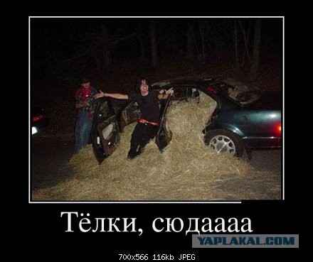 Демотиваторы на пятницу!