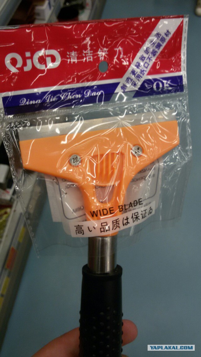 Они живые. Они смотрят на нас!