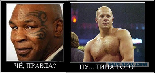 Задержание по-американски