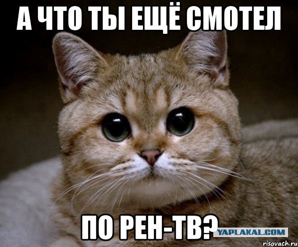 Консультант. Анализ ситуаций с НЛО во всем мире