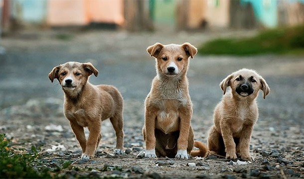 Чего мы не знали о компьютерах и вычислительной технике