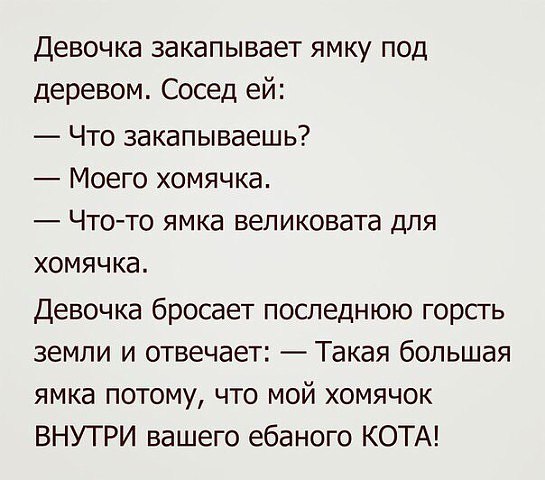 Прикольные и не очень картинки из сети