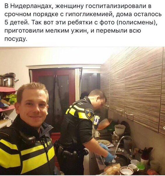 Порция позитива на вторник