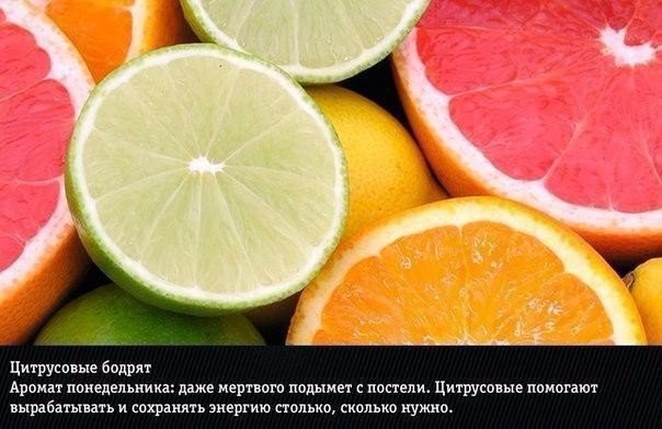 Подборка "тёплых уютных домашних" фотографий, часть 6