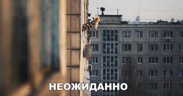 Есть смешные (картинки)