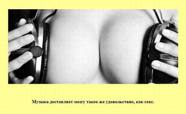 Подборка интересных и забавных фактов