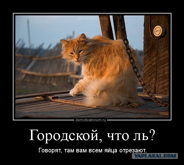 Упоротая пятиминутка