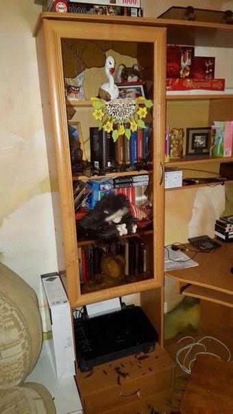 Когда твои "друзья", пришедшие на вечеринку, редкостные дебилы