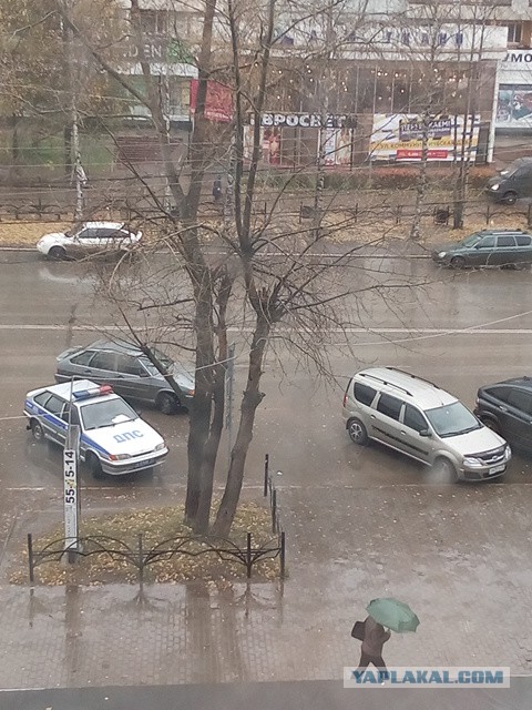 Жизнь как она есть 2