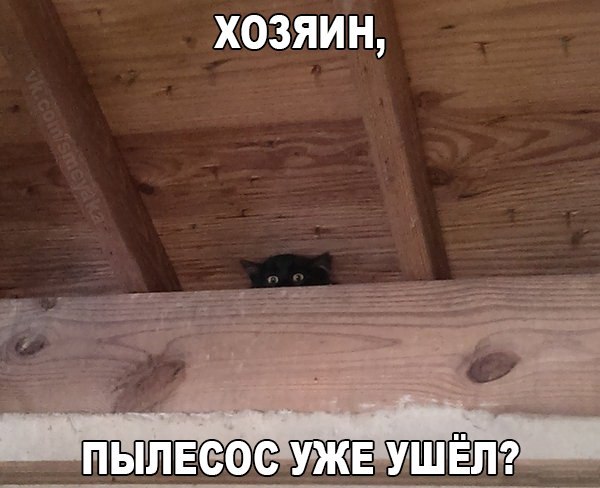 Разные картинки из сети