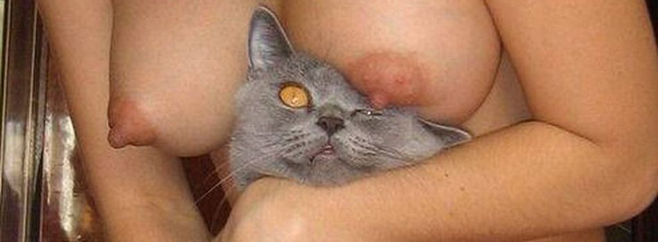 ������� �� ����� � pic 3