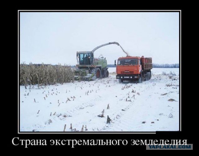 Небольшая подборка прикольных фотокарточек
