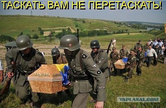 На Донбассе началась битва года