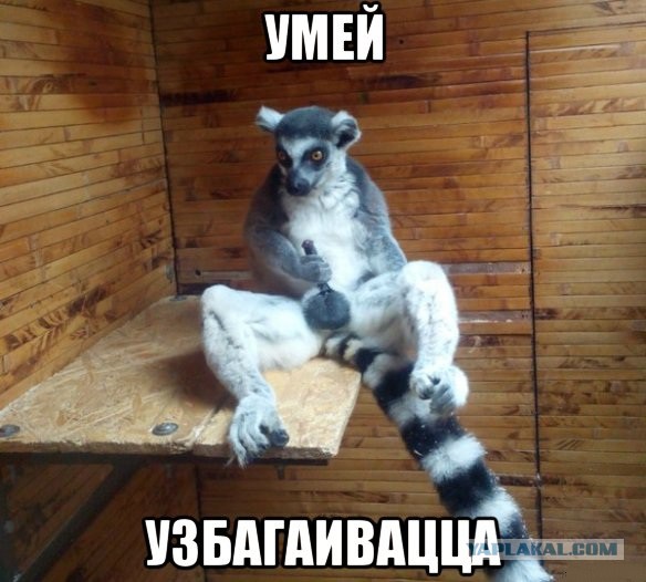 Картинки из буржуйских инторнетов