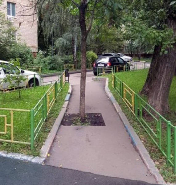 Подборка безудержного веселья