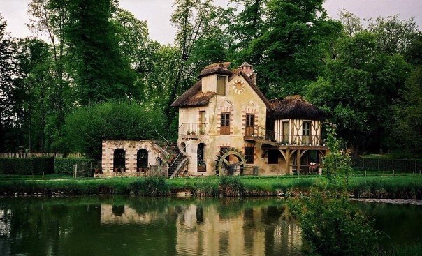 Моменты, запечатлённые на фото и просто позитив 5