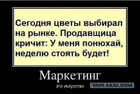 Деградации ЯПу