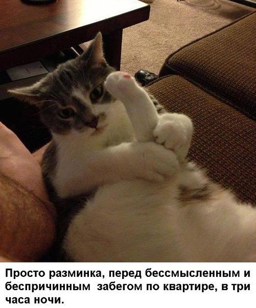 150 картинки для поднятия настроения!