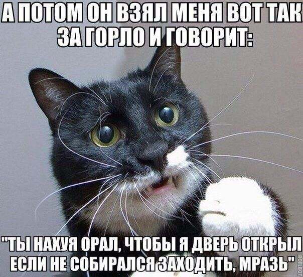 Нестандартный юмор