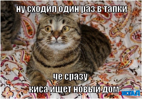 Подборка интересных и веселых картинок