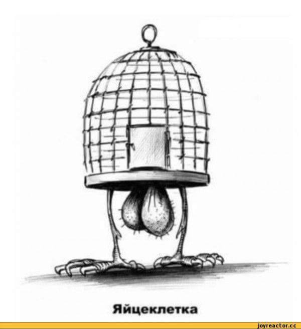 Дивные картинки