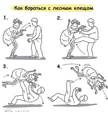 Кровососы