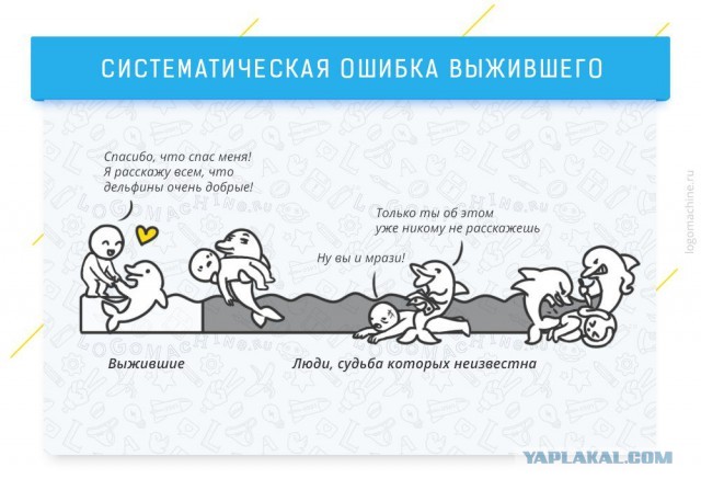 Почему акулы боятся дельфинов?
