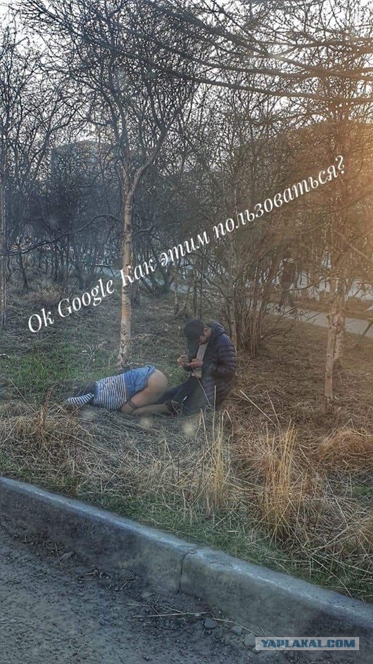 Ходячие мертвецы, или наглядные доказательства начала апокалипсиса