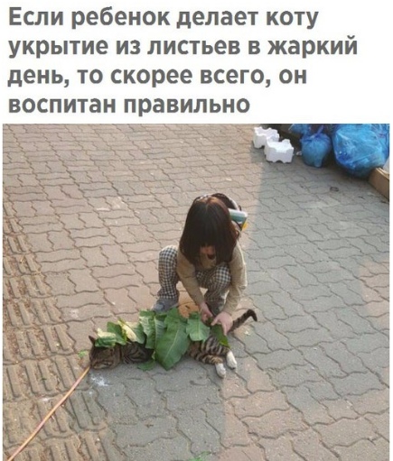 Чуток картинок! 26.12.19