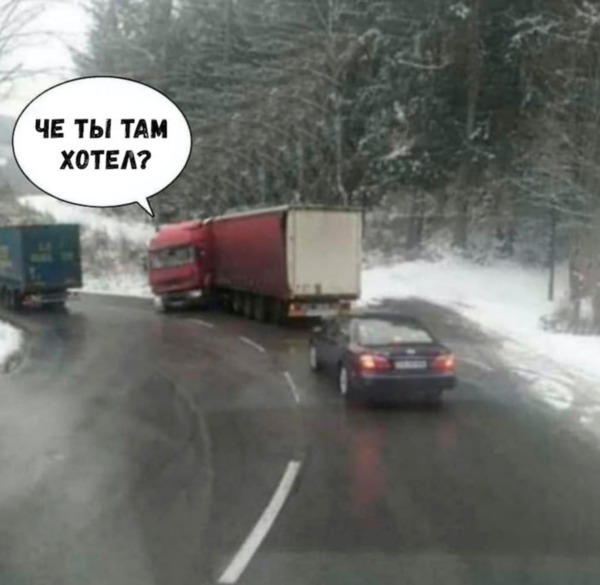 Кретинки