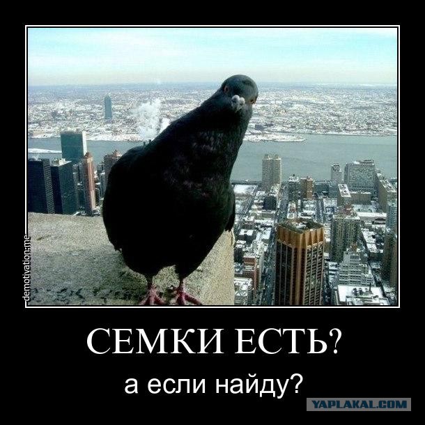 Насильная трансплантология