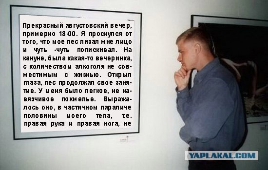 Фотожаба: Молодой ценитель