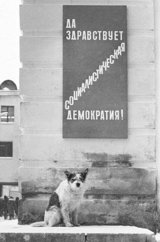 Интересные и редкие ретро  фотографии 17.05.20