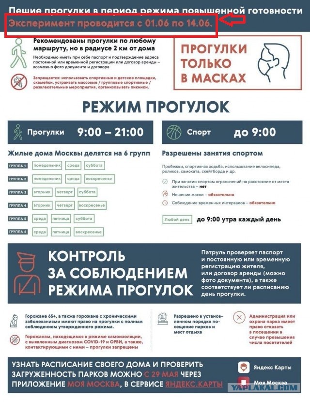 Как и сколько в Москве можно будет гулять с 1 июня