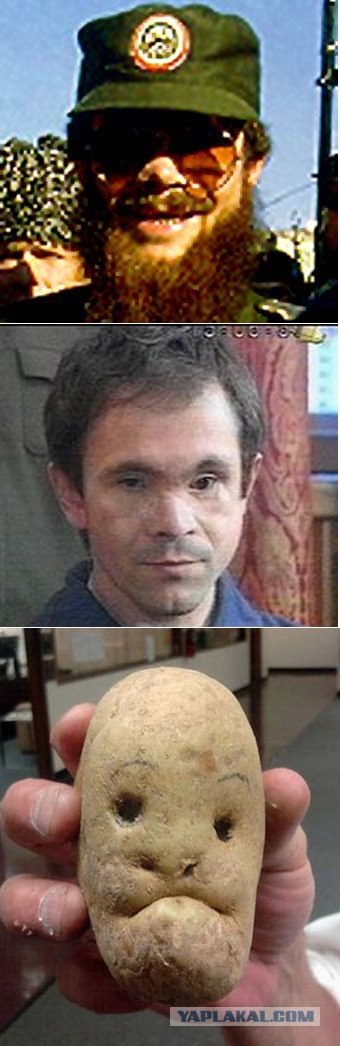 Фотожаба: И все таки они точно среди нас