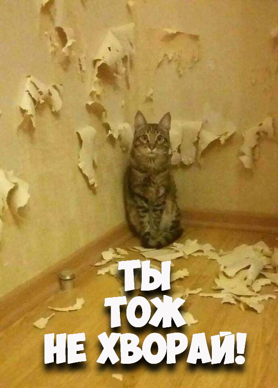 Срочно в номер