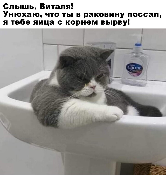 Фотки и картинки: юморные и красивые, забавные и милые 25.03.21