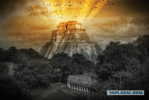 Человек-автомобиль!