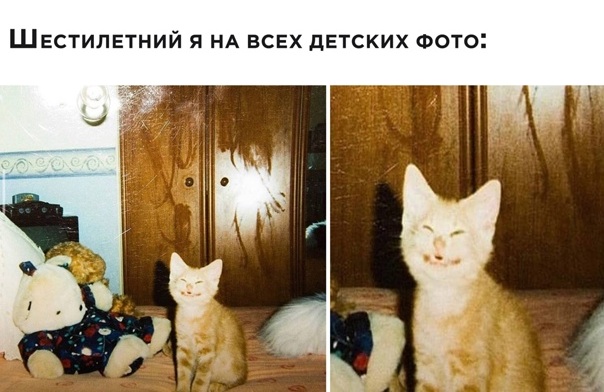 Насохранял