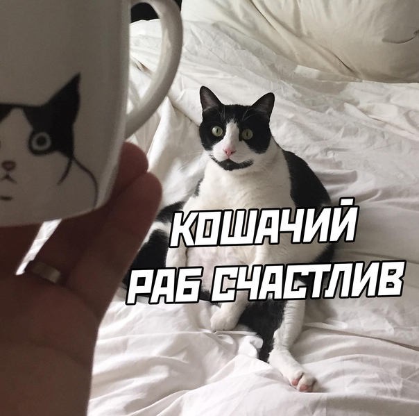 Картинки с надписями и всякие жизненные фразы 31.05.21
