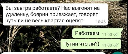 В Набережных Челнах перед заводом «КамАЗ» красят асфальт. Почему? Так траву уже покрасили