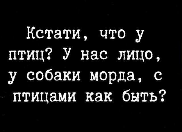 Картинки и фразы 9-го июня... тридцать штук