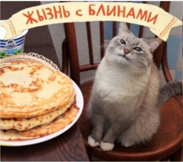 Так себе картинки 11.08.21