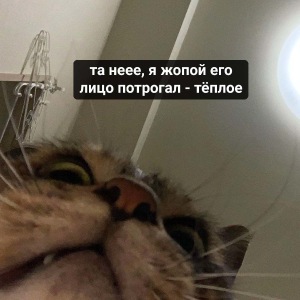 Пост деградации. Мой любимый пост. Категории Б