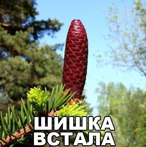 В каком платье пойти на вечеринку?