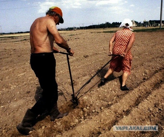 ДНС и мотоблоки