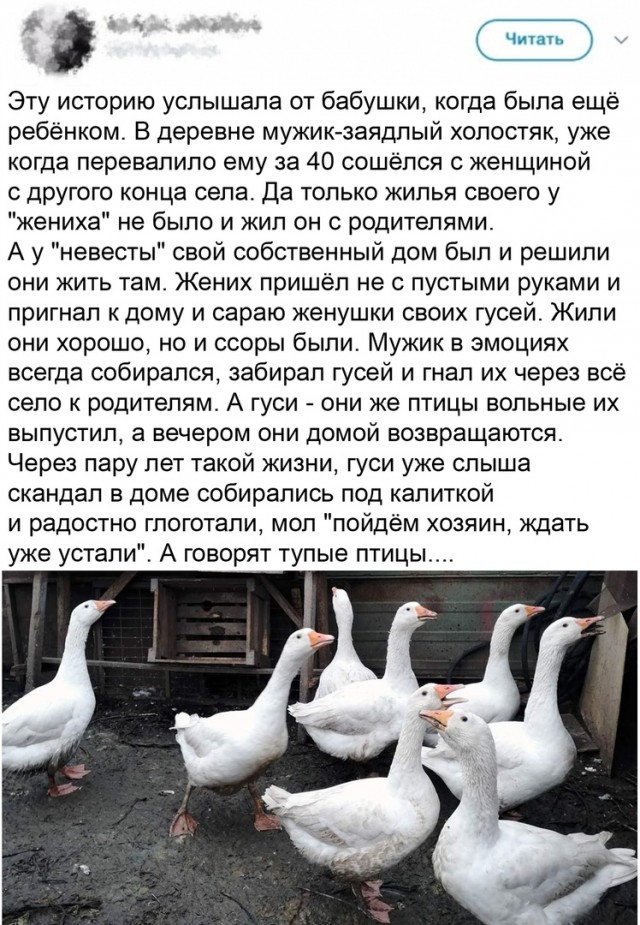 Так себе картинки 01.07.22
