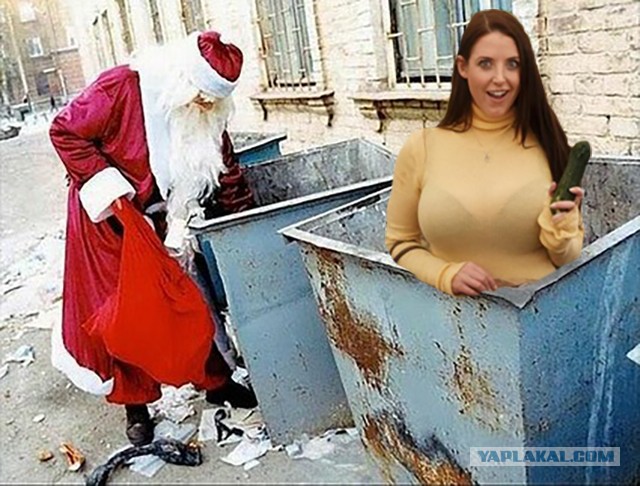 Фотожаба "Баба ягодка опять"
