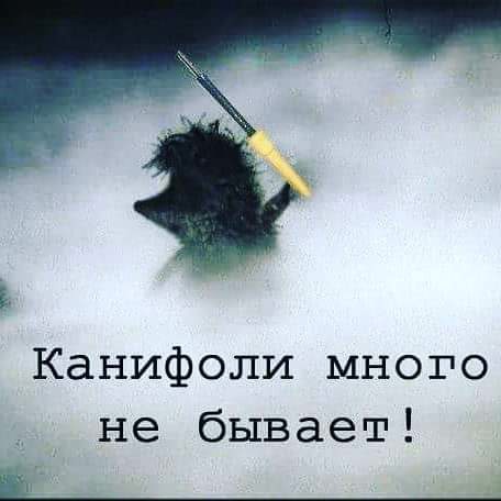 Немного забавных картинок